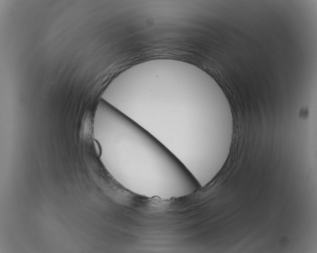 X0000111580143200908061334