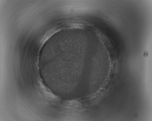 X0000111580146200908061333