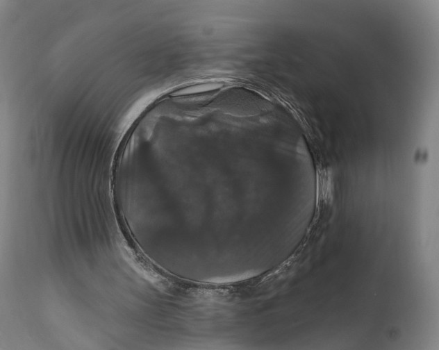 X0000111580147200908061333