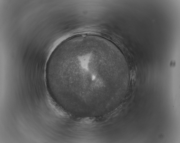 X0000111580148200908061333