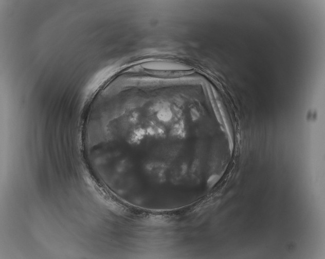 X0000111580149200908061333