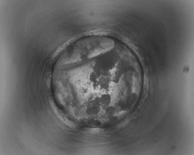 X0000111580153200908061333