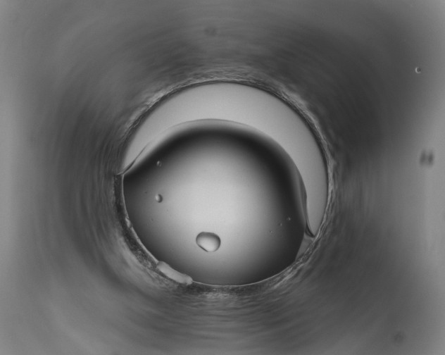 X0000111580154200908061333