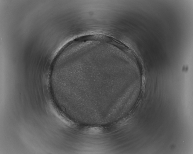 X0000111580156200908061333