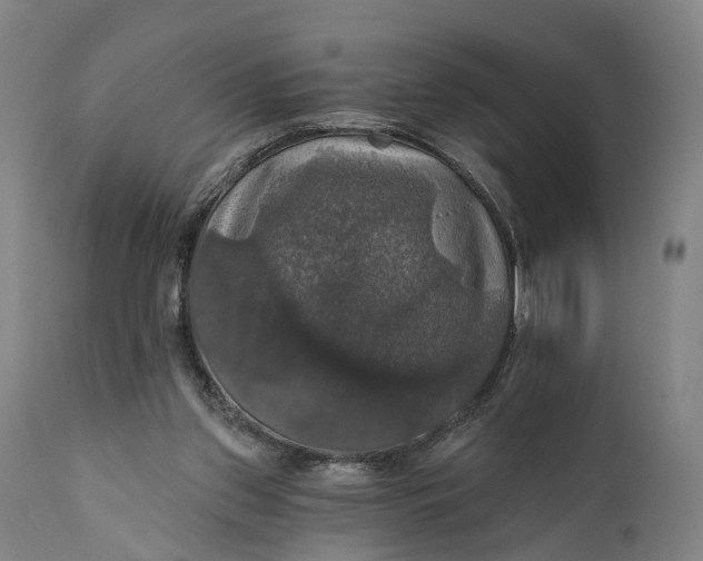 X0000111580157200908061333