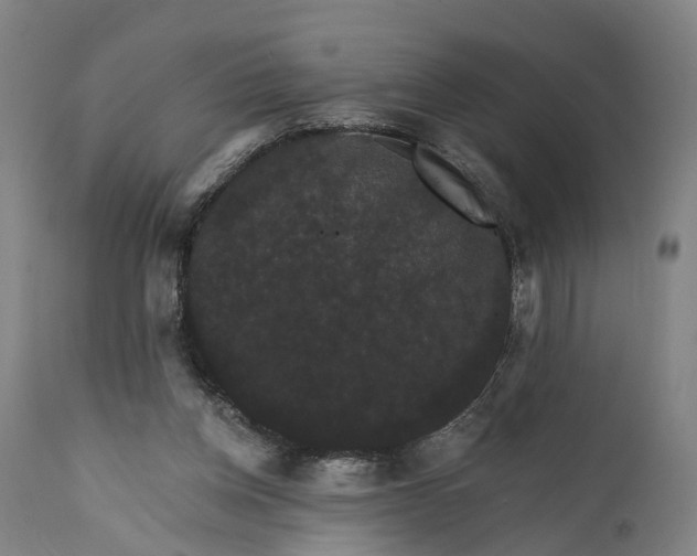 X0000111580158200908061333