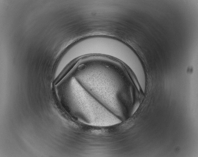 X0000111580160200908061333