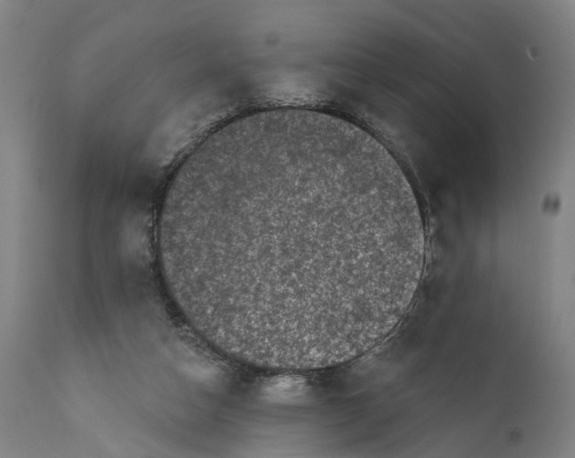 X0000111580162200908061333