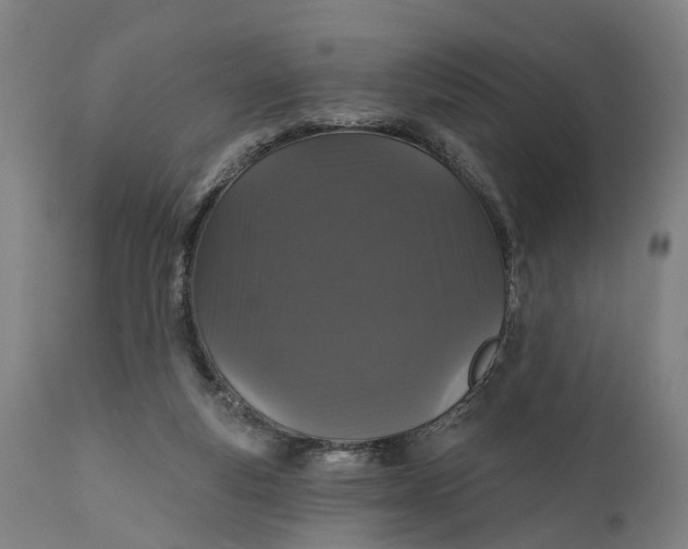 X0000111580163200908061333