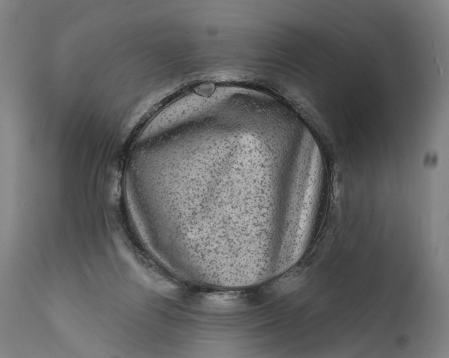 X0000111580164200908061333