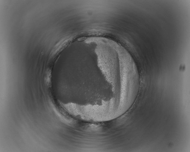 X0000111580166200908061333