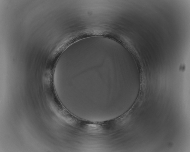 X0000111580167200908061333