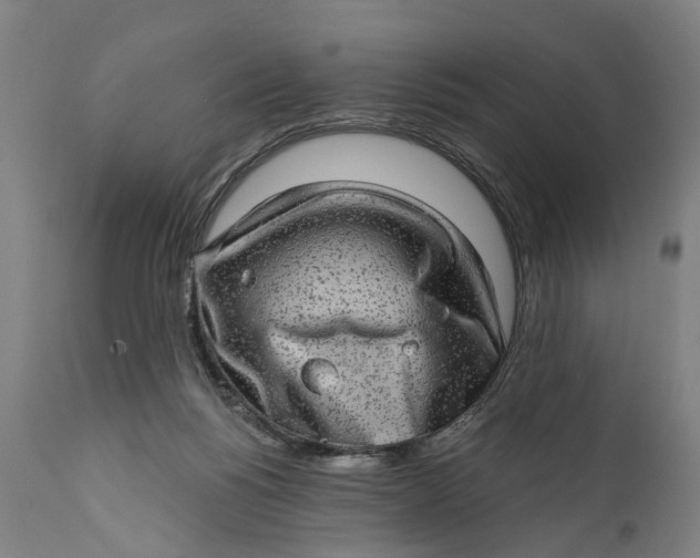 X0000111580168200908061333