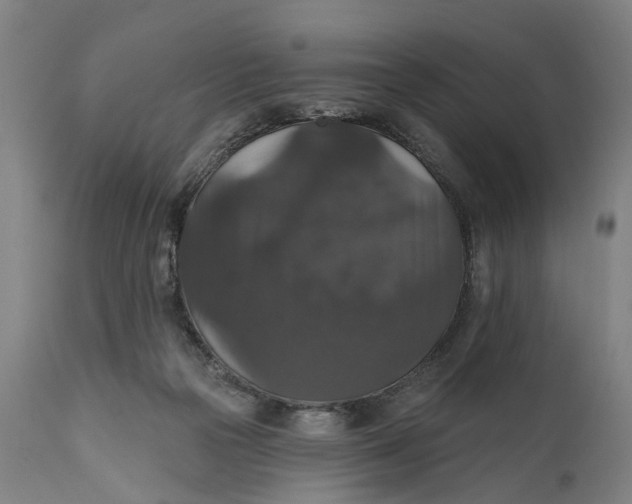 X0000111580169200908061334