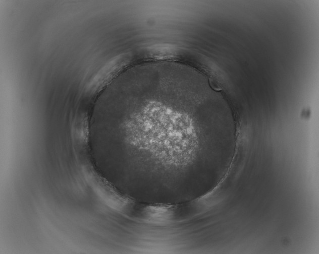 X0000111580170200908061334