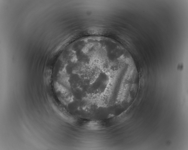 X0000111580171200908061334