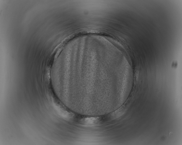 X0000111580172200908061334