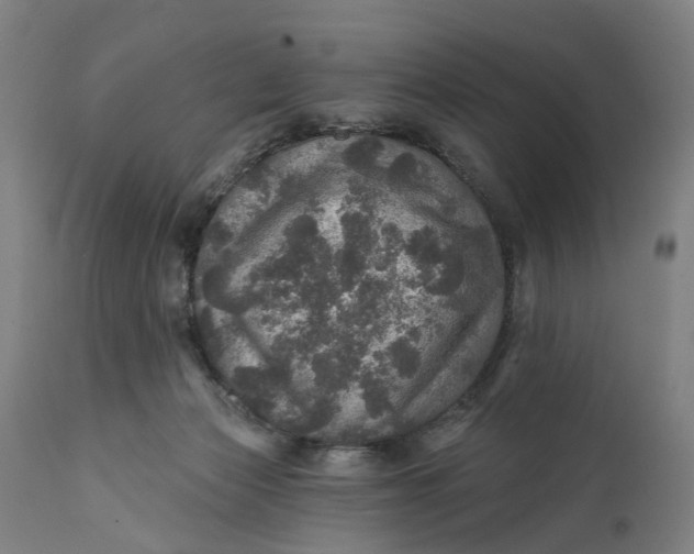 X0000111580173200908061334