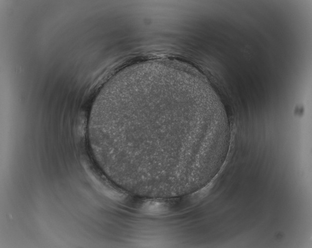 X0000111580174200908061334