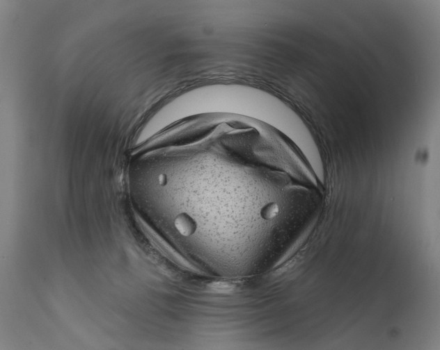 X0000111580176200908061334