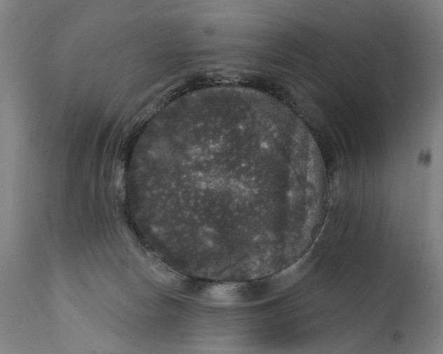 X0000111580178200908061334