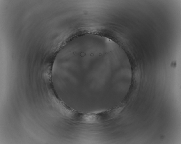 X0000111580181200908061334