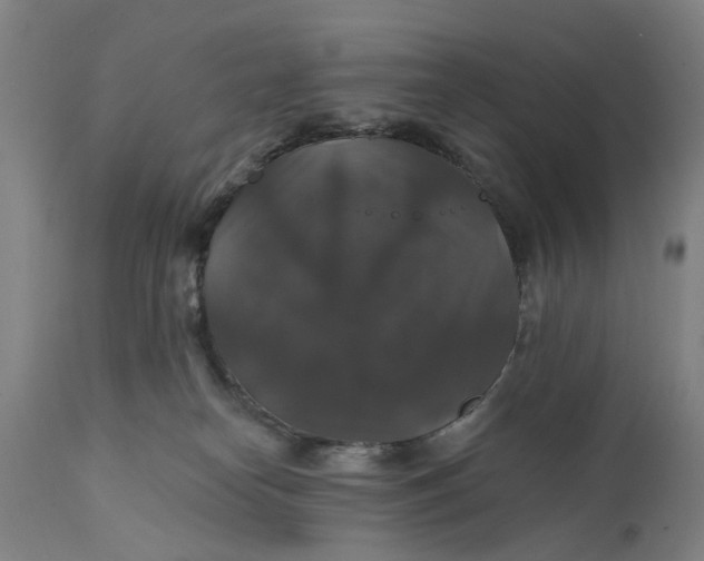 X0000111580182200908061334