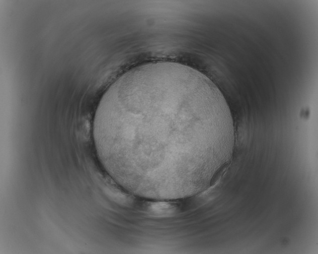 X0000111580183200908061334