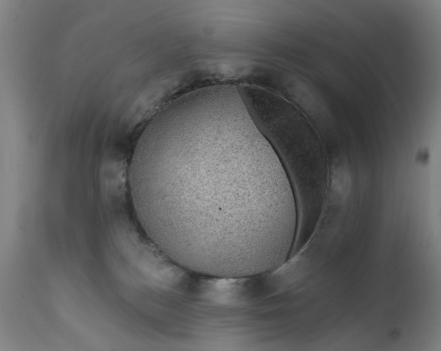 X0000111580184200908061334