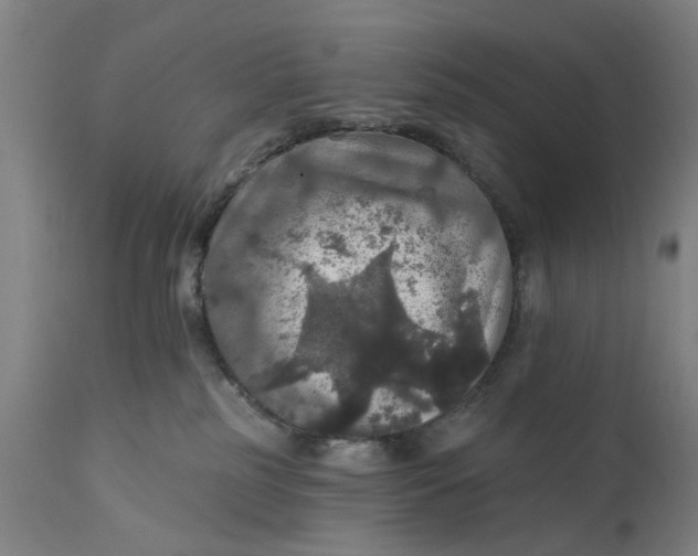 X0000111580185200908061334