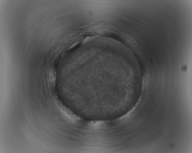 X0000111580186200908061334