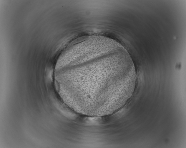 X0000111580188200908061334