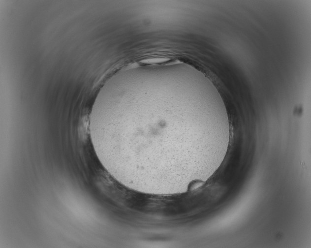 X0000111580190200908061334