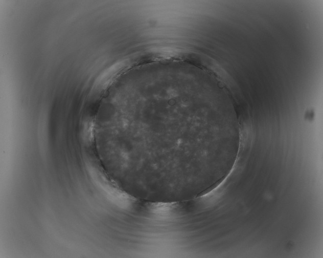 X0000111580191200908061334