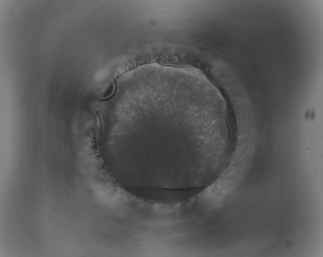 X0000111580192200908061334