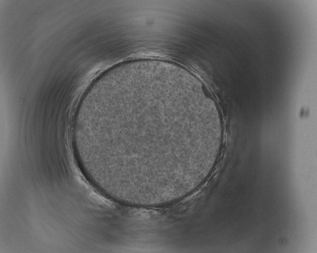 X0000111580193200908061333