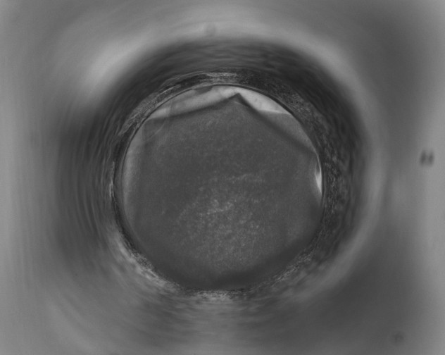 X0000111580194200908061333