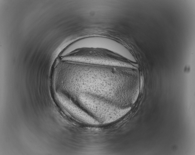 X0000111580195200908061333