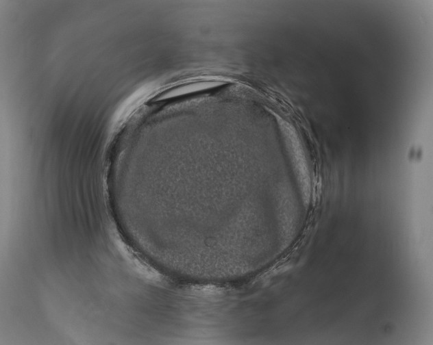 X0000111580197200908061333