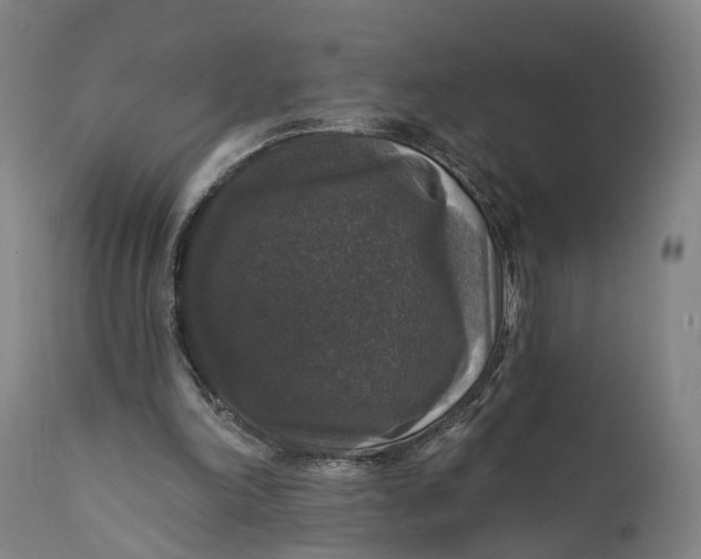 X0000111580198200908061333