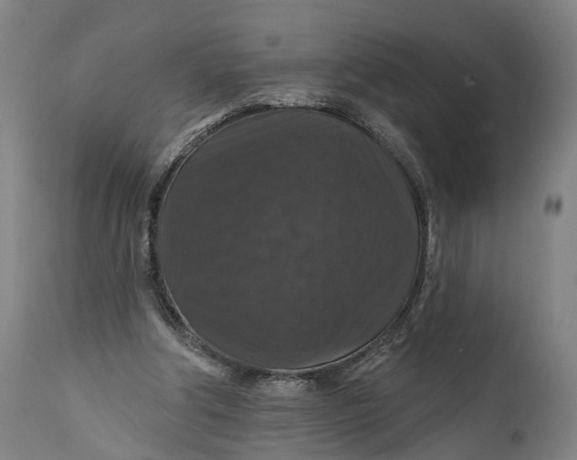 X0000111580202200908061333