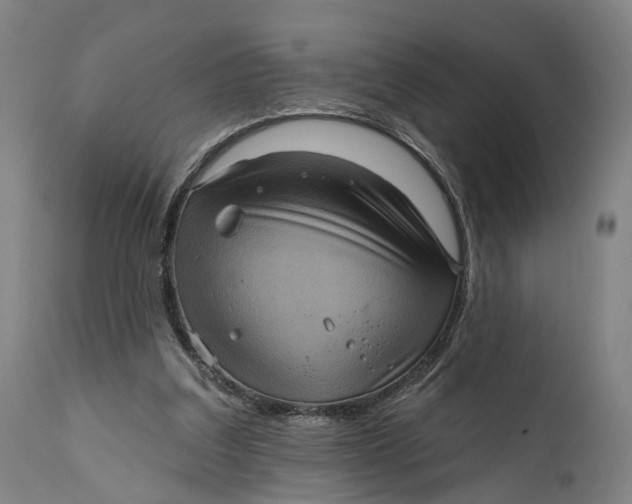 X0000111580203200908061333