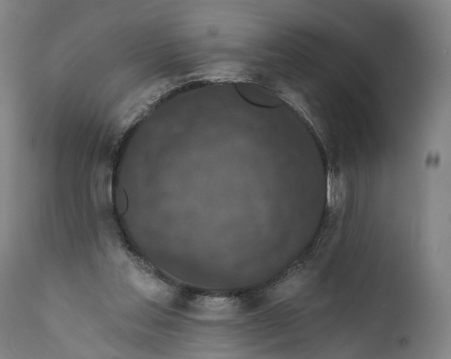 X0000111580205200908061333