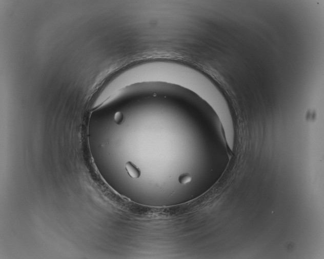 X0000111580207200908061333