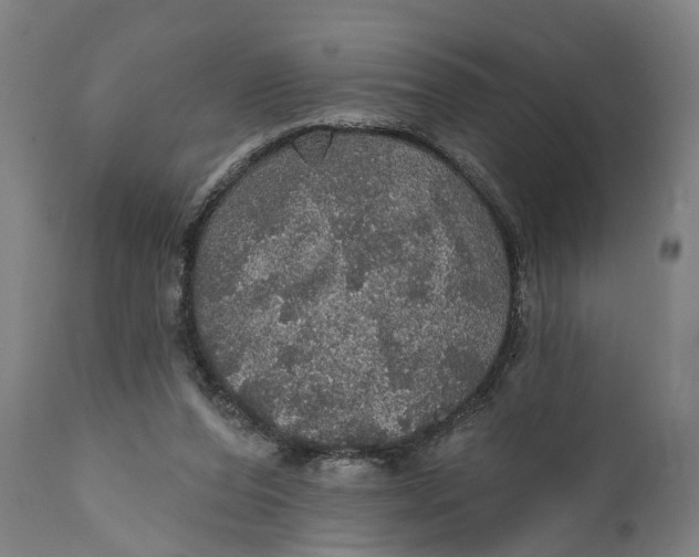 X0000111580208200908061333