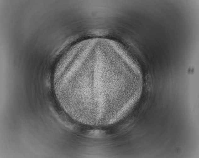 X0000111580212200908061333