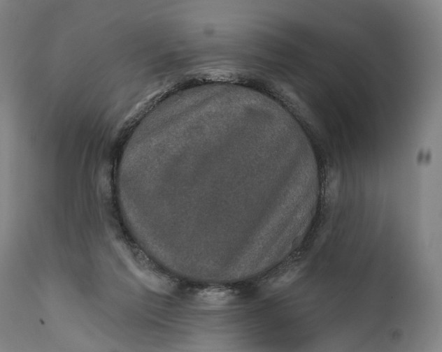 X0000111580213200908061333