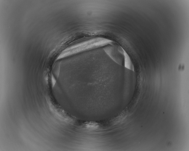 X0000111580214200908061333