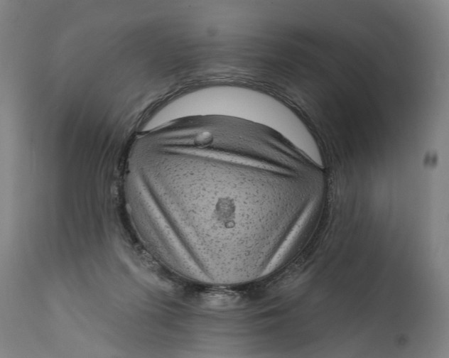 X0000111580215200908061333