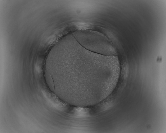 X0000111580221200908061333